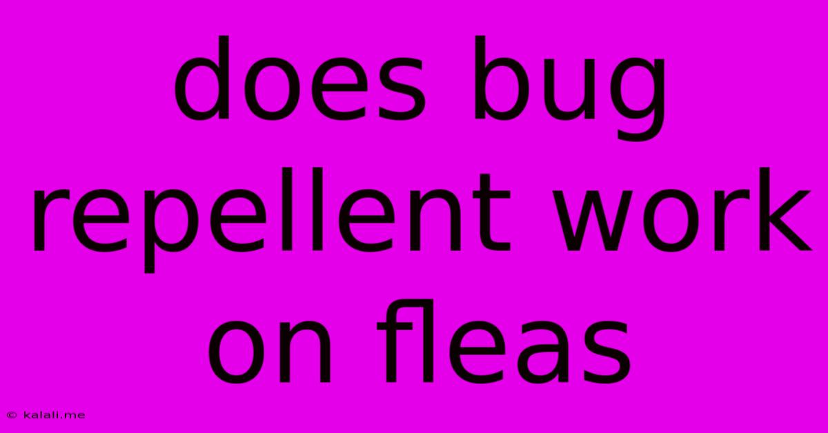 Does Bug Repellent Work On Fleas