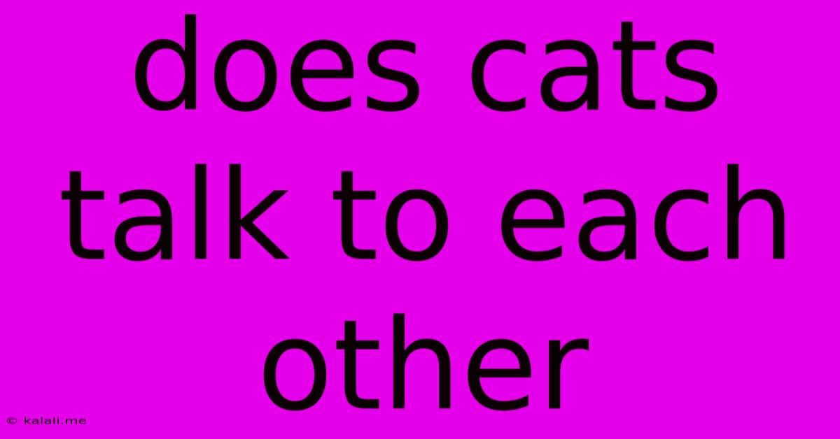 Does Cats Talk To Each Other