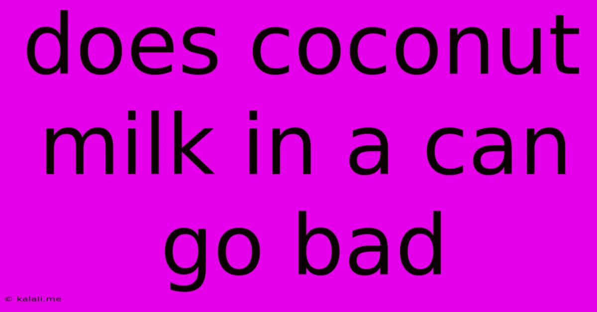 Does Coconut Milk In A Can Go Bad