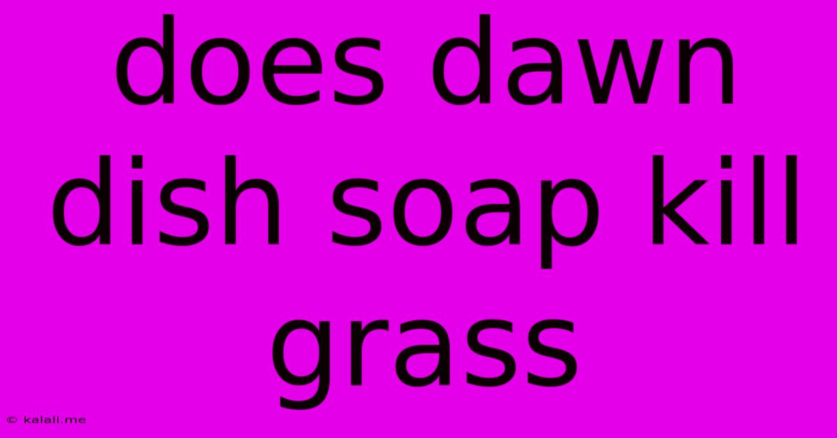 Does Dawn Dish Soap Kill Grass