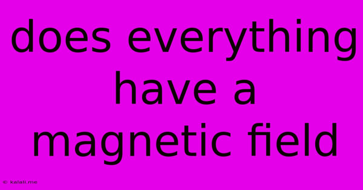 Does Everything Have A Magnetic Field
