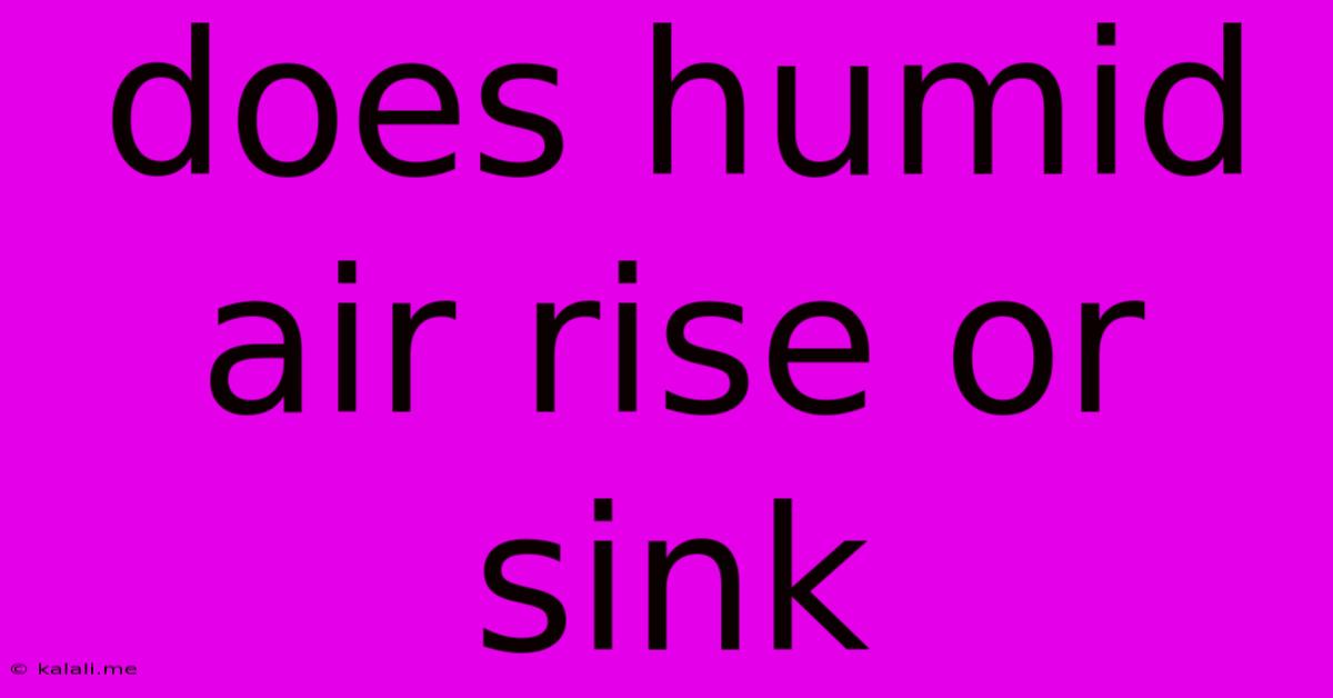 Does Humid Air Rise Or Sink