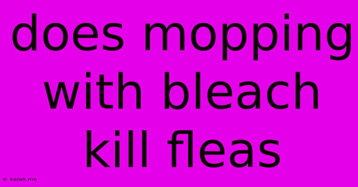 Does Mopping With Bleach Kill Fleas