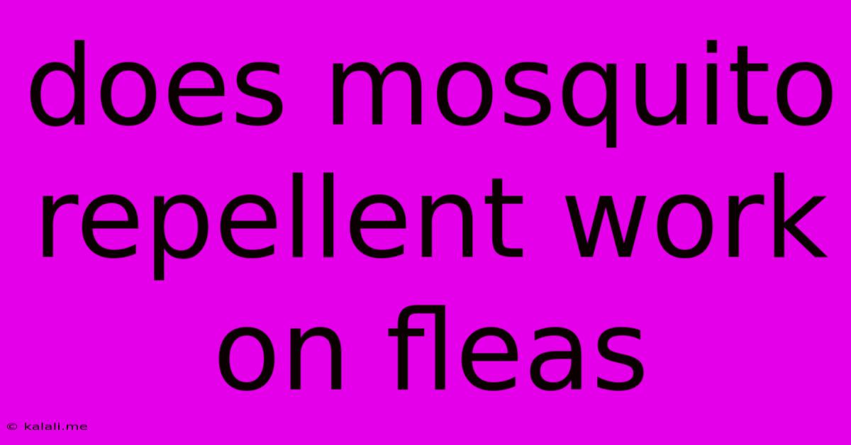 Does Mosquito Repellent Work On Fleas