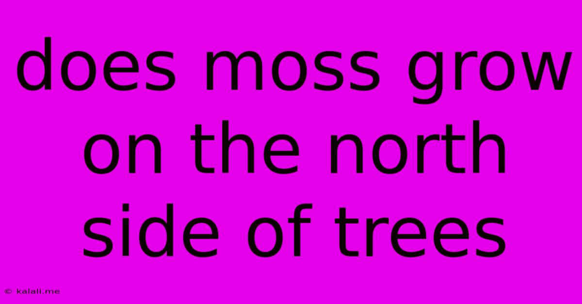 Does Moss Grow On The North Side Of Trees