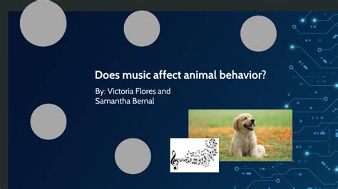 Does Music Affect On Animal Behavior