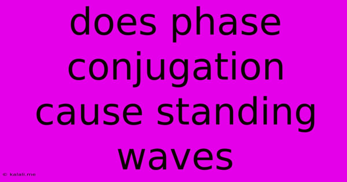 Does Phase Conjugation Cause Standing Waves