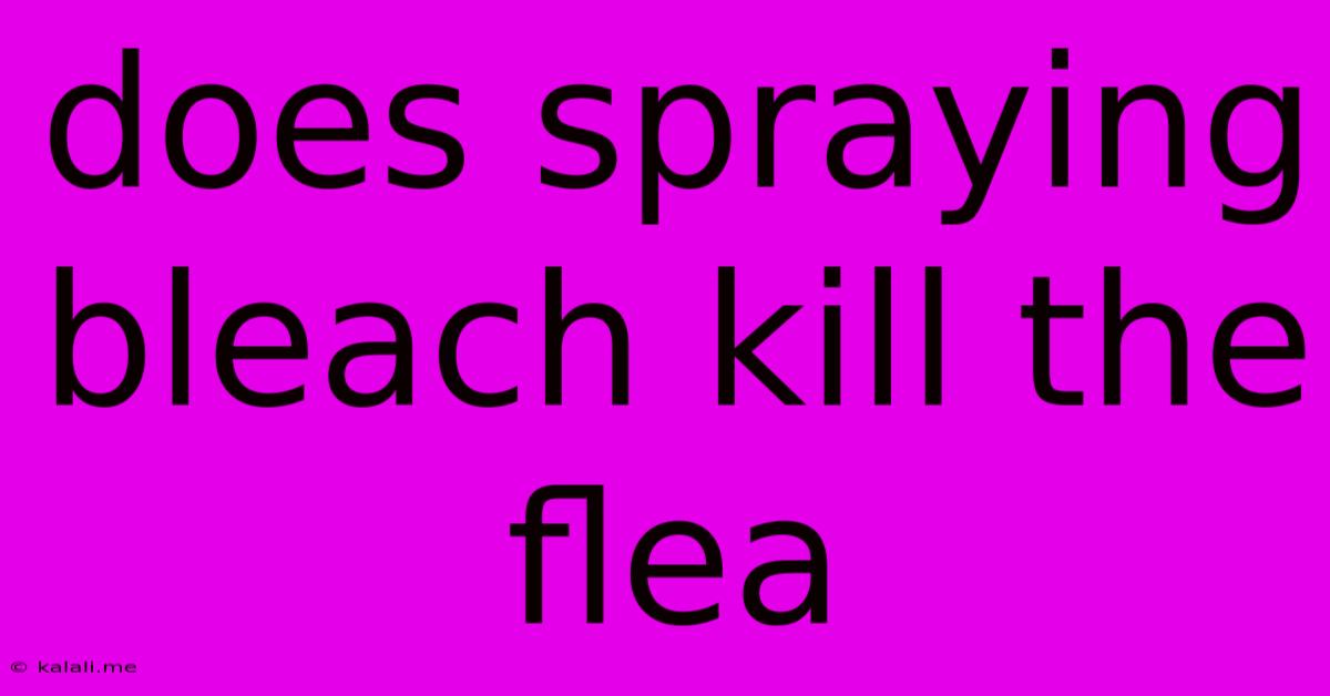 Does Spraying Bleach Kill The Flea