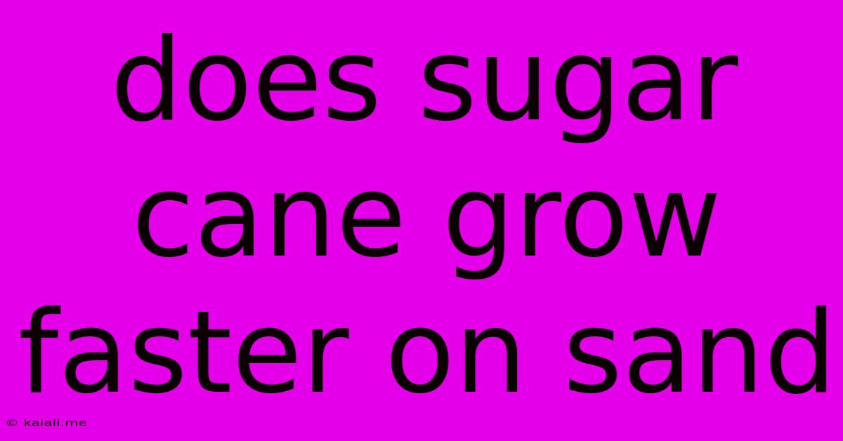 Does Sugar Cane Grow Faster On Sand