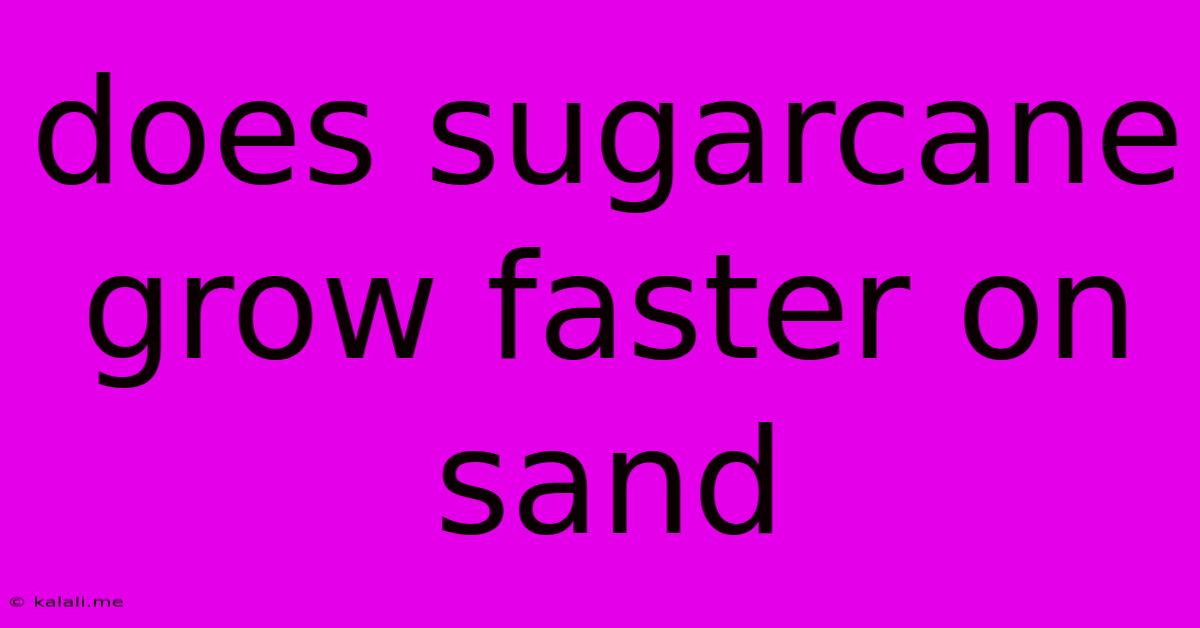 Does Sugarcane Grow Faster On Sand