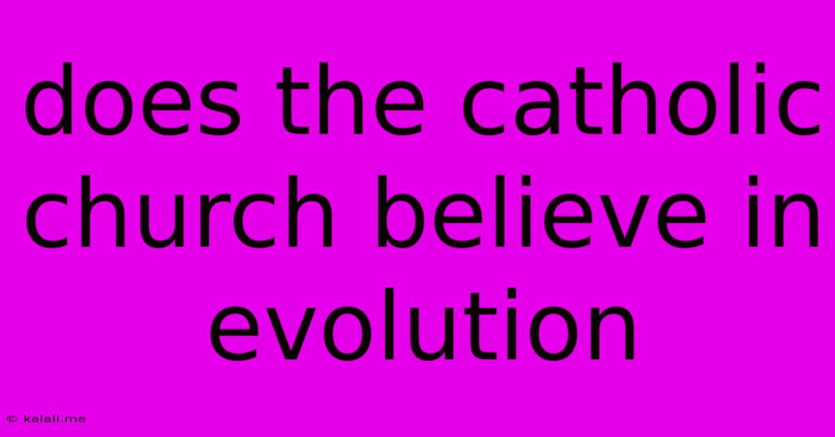 Does The Catholic Church Believe In Evolution
