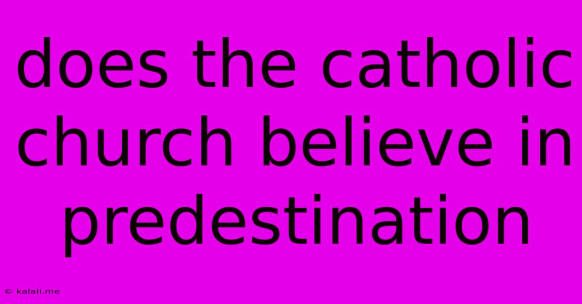 Does The Catholic Church Believe In Predestination