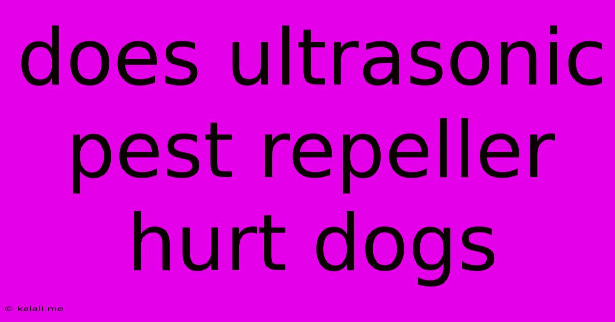 Does Ultrasonic Pest Repeller Hurt Dogs