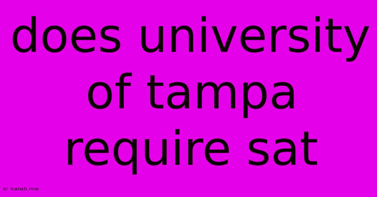 Does University Of Tampa Require Sat