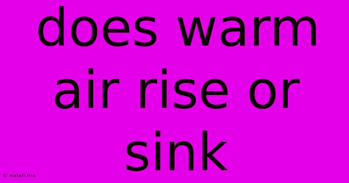 Does Warm Air Rise Or Sink