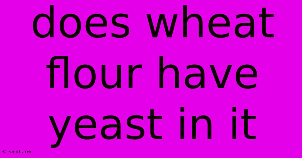 Does Wheat Flour Have Yeast In It