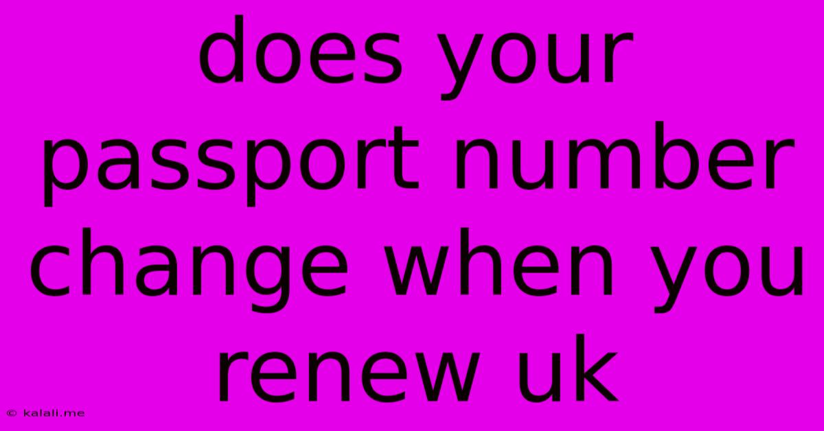 Does Your Passport Number Change When You Renew Uk
