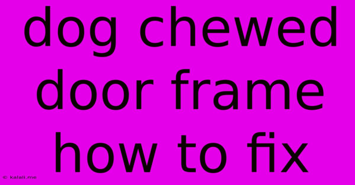 Dog Chewed Door Frame How To Fix