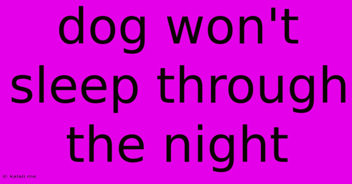 Dog Won't Sleep Through The Night