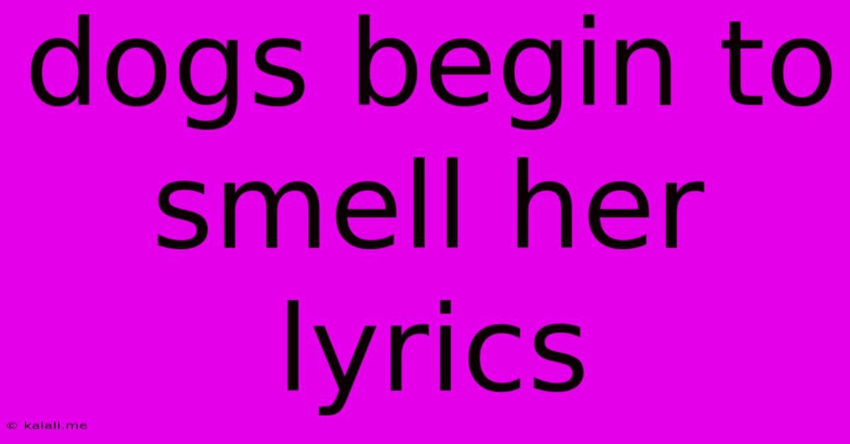Dogs Begin To Smell Her Lyrics
