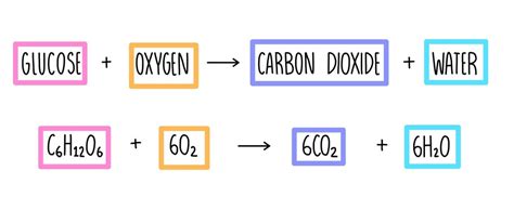 Double Replacement Reaction Examples In Real Life