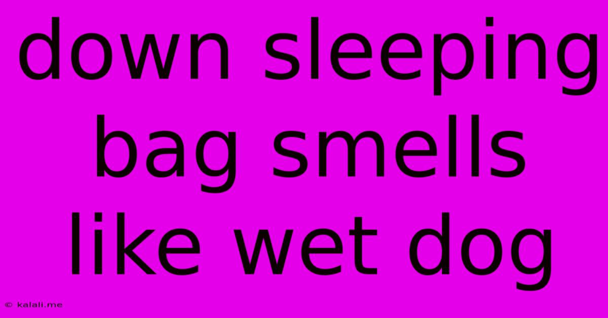 Down Sleeping Bag Smells Like Wet Dog