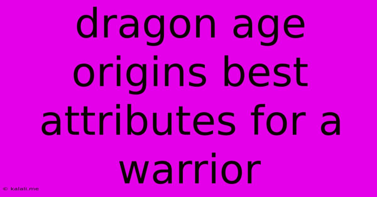 Dragon Age Origins Best Attributes For A Warrior