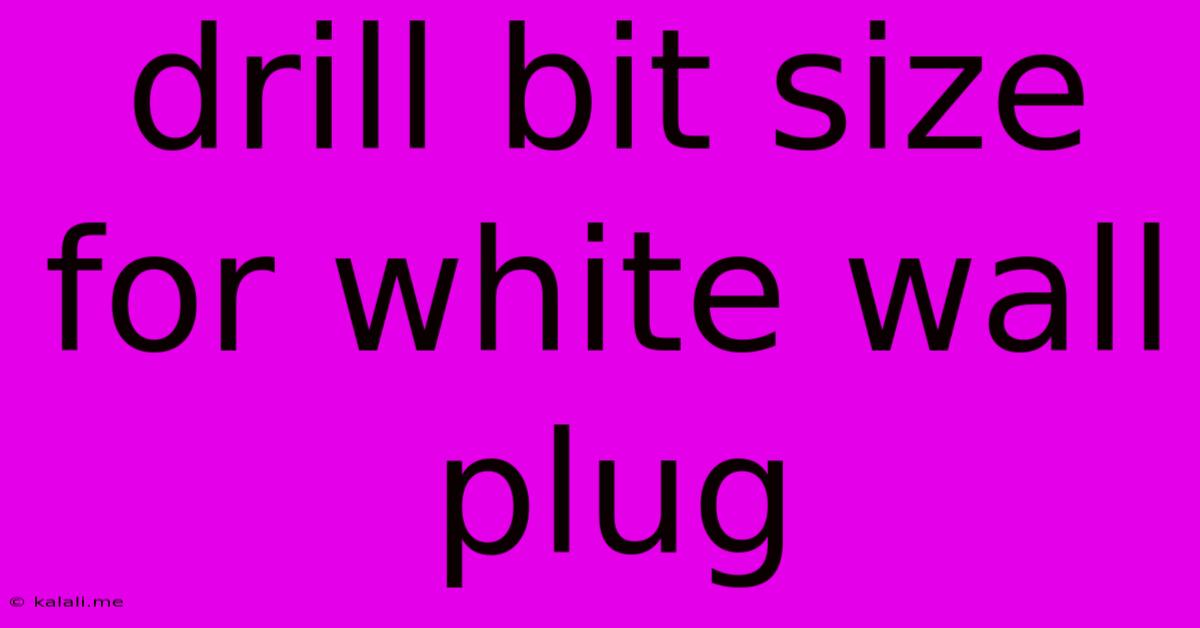 Drill Bit Size For White Wall Plug