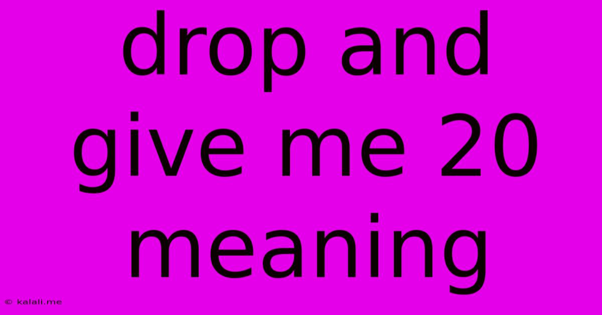Drop And Give Me 20 Meaning