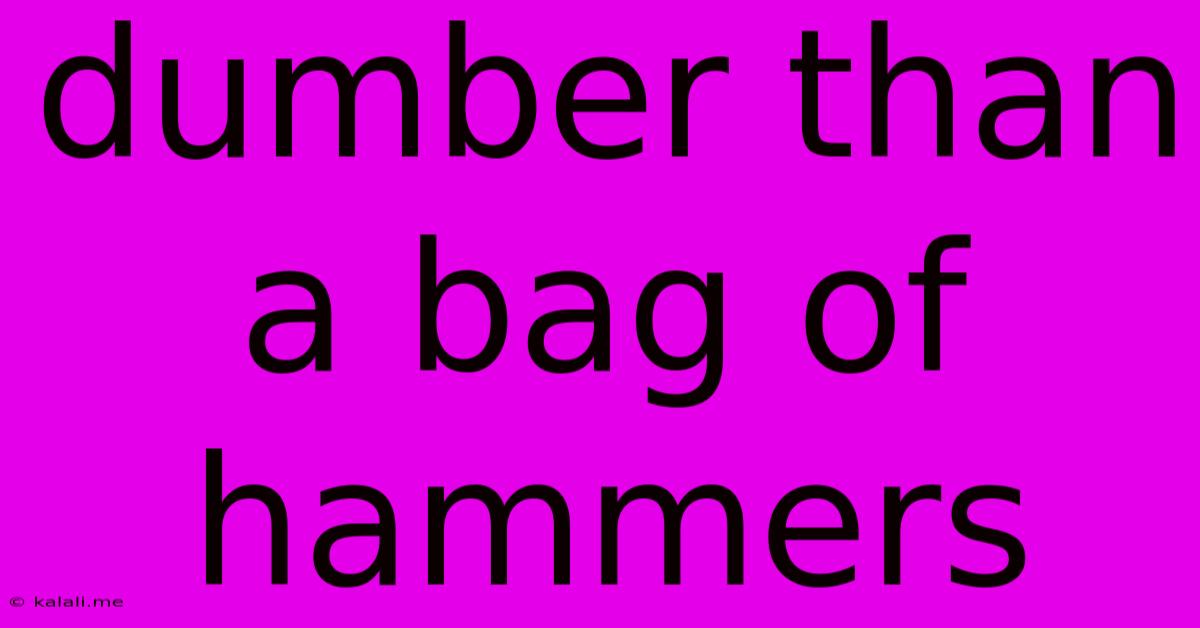 Dumber Than A Bag Of Hammers