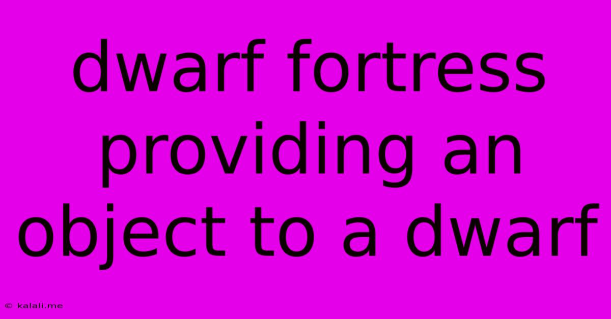 Dwarf Fortress Providing An Object To A Dwarf