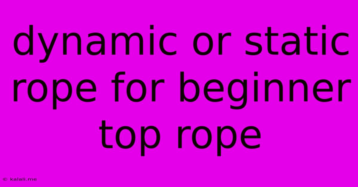 Dynamic Or Static Rope For Beginner Top Rope