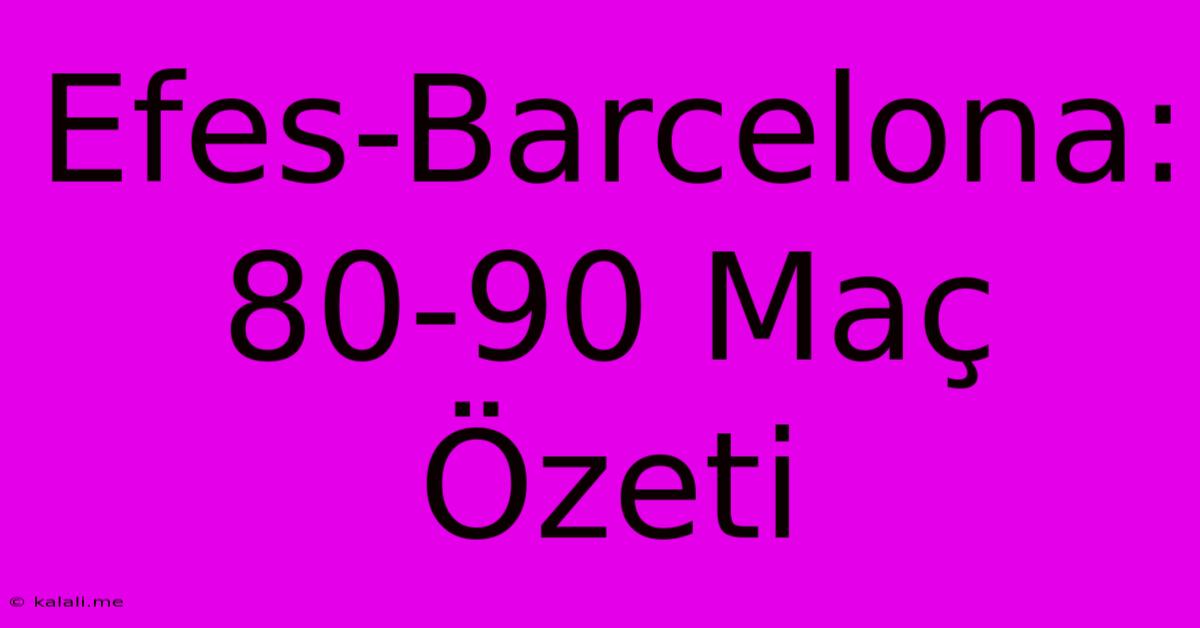 Efes-Barcelona: 80-90 Maç Özeti