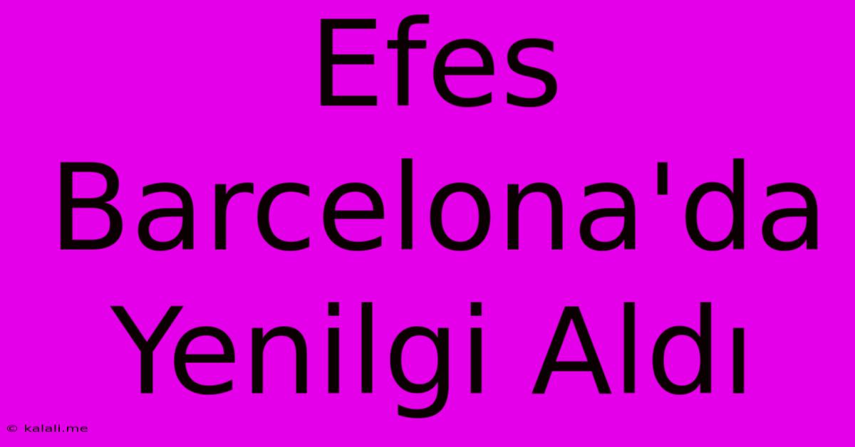 Efes Barcelona'da  Yenilgi Aldı