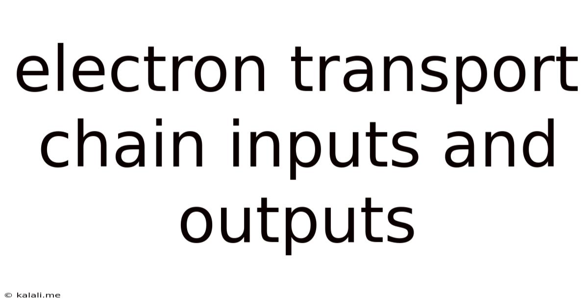 Electron Transport Chain Inputs And Outputs