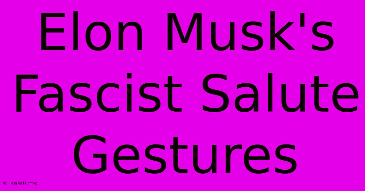 Elon Musk's Fascist Salute Gestures