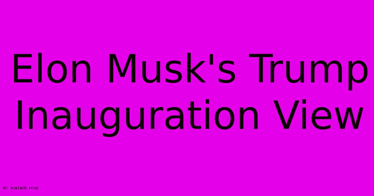 Elon Musk's Trump Inauguration View