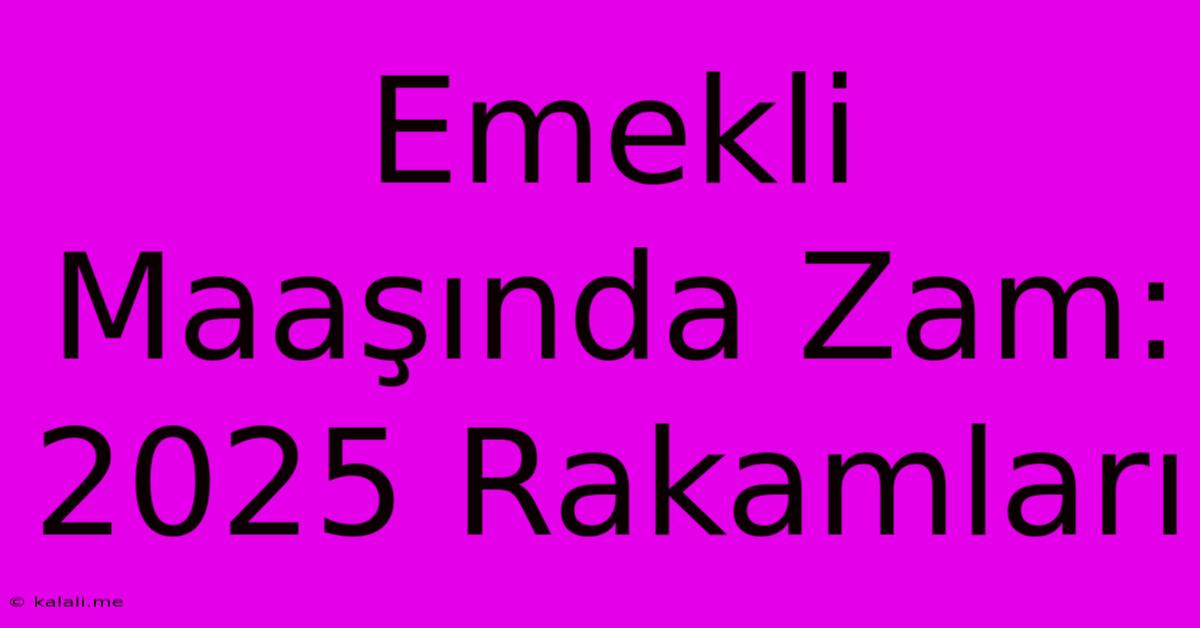 Emekli Maaşında Zam: 2025 Rakamları