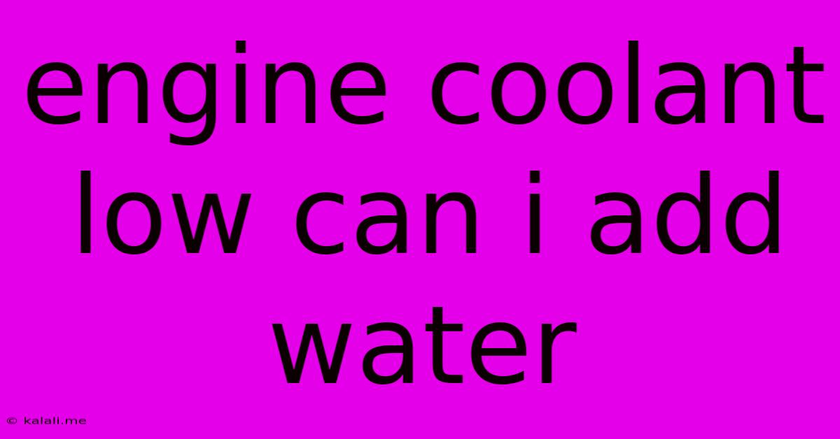 Engine Coolant Low Can I Add Water