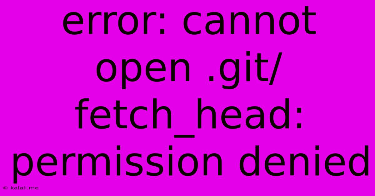 Error: Cannot Open .git/fetch_head: Permission Denied