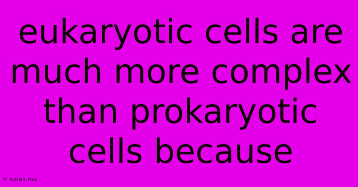 Eukaryotic Cells Are Much More Complex Than Prokaryotic Cells Because