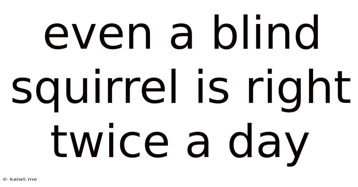 Even A Blind Squirrel Is Right Twice A Day