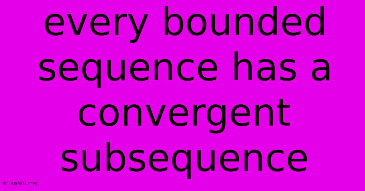 Every Bounded Sequence Has A Convergent Subsequence