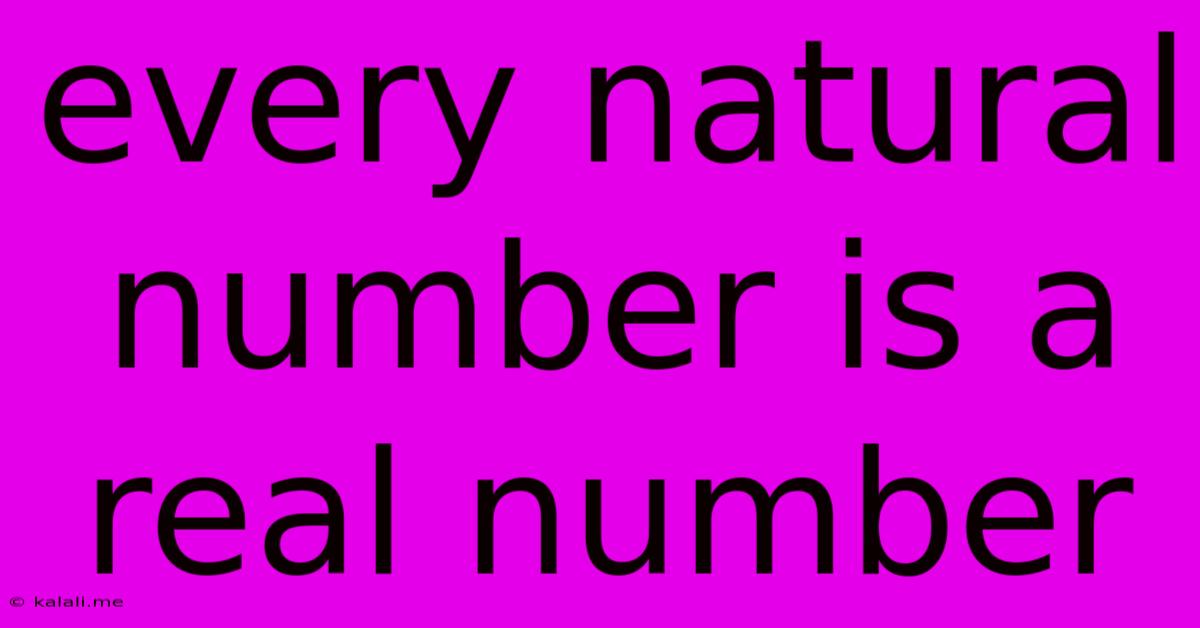 Every Natural Number Is A Real Number