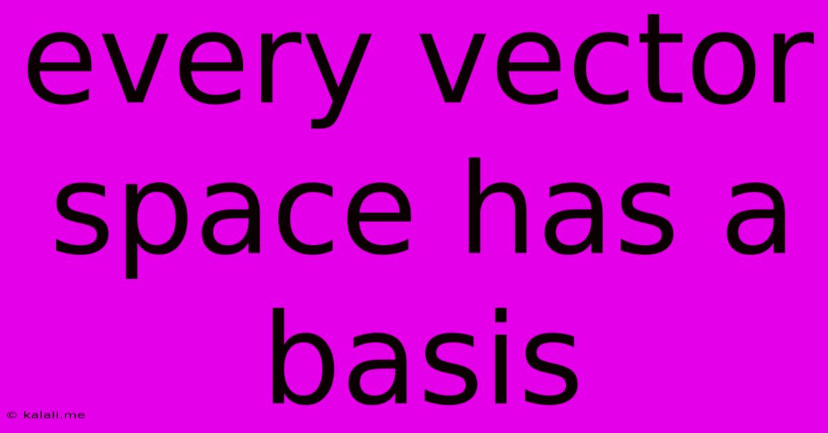 Every Vector Space Has A Basis