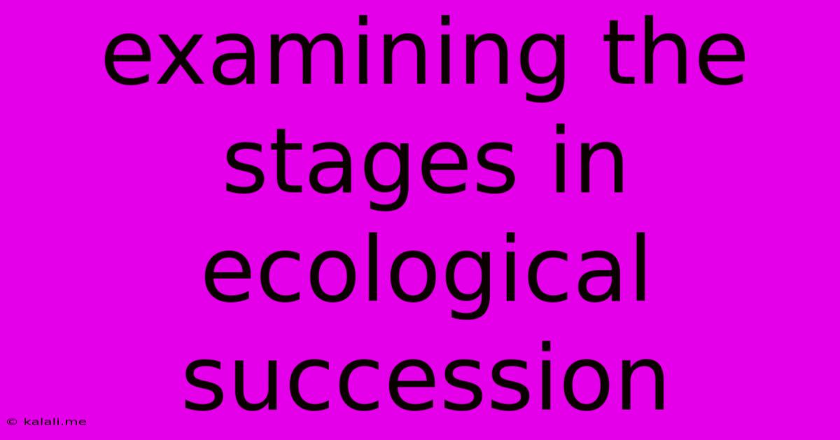 Examining The Stages In Ecological Succession