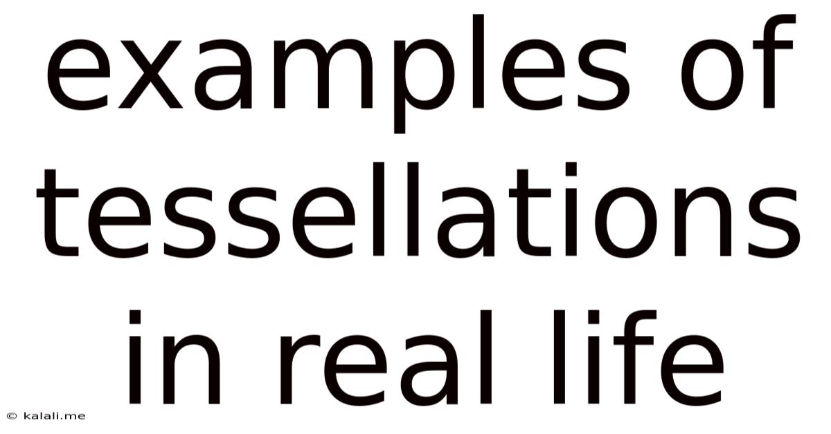 Examples Of Tessellations In Real Life