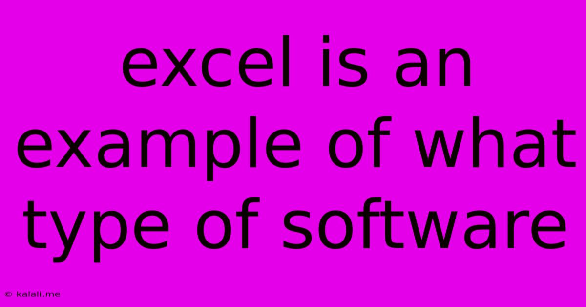 Excel Is An Example Of What Type Of Software