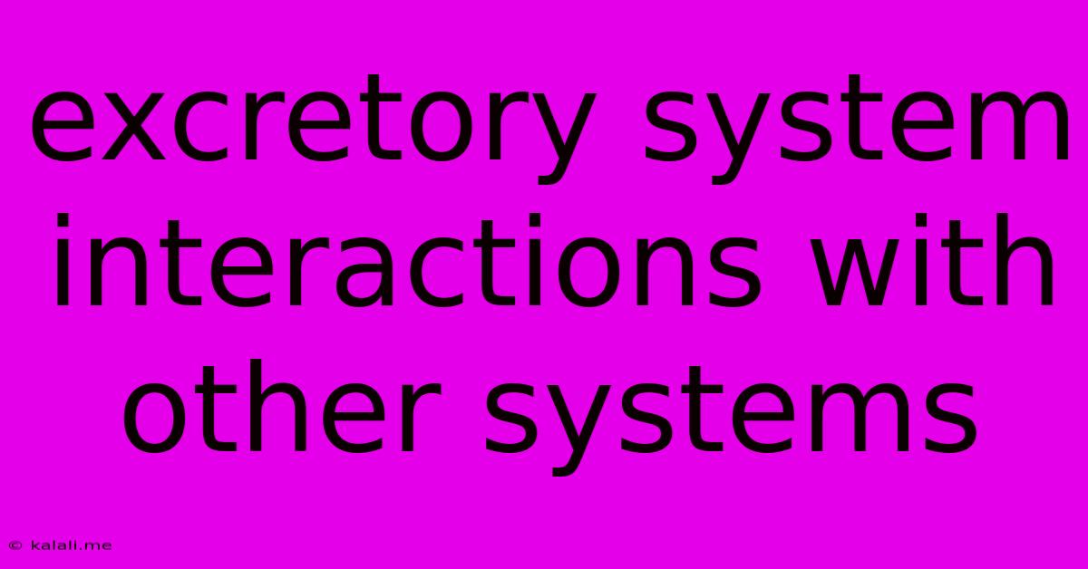 Excretory System Interactions With Other Systems