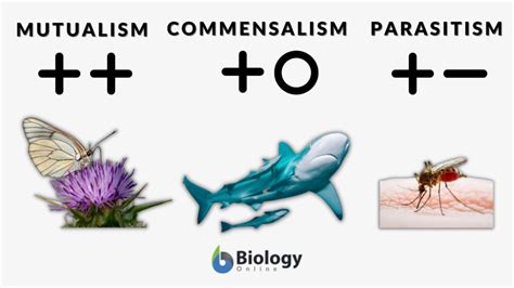 Explain How Parasitism Differs From Commensalism